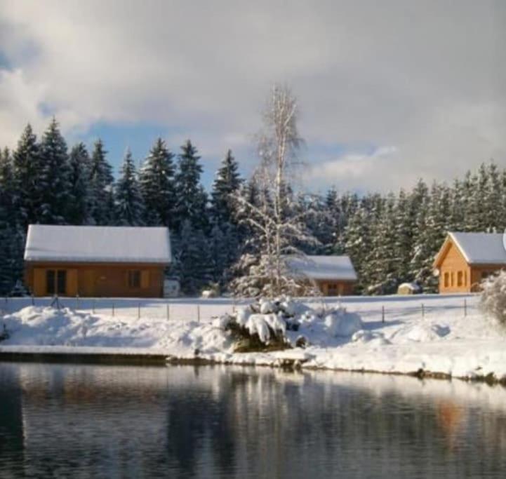 Gite Jura Mina Chalet Au Milieu De La Nature Villa Ney Exterior photo